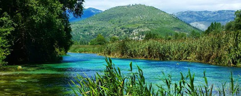 “Due piccioni con una fava” Aree protette e biodiversità, radici della sostenibilità