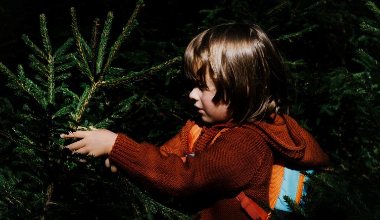 Illegittimo il no a vedere la nipotina