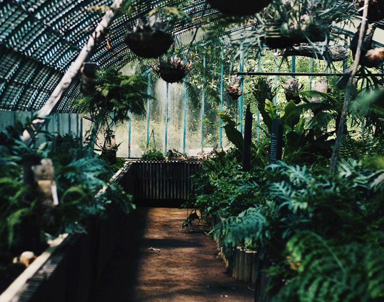 Una tecnica agricola rispettosa dell’ambiente