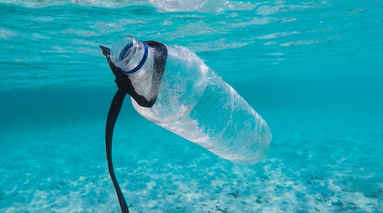Plastica in mare, microplastiche negli alimenti