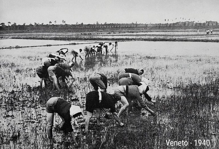 Sebben che siamo donne