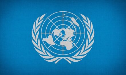 Riforma dell’ONU non è un capriccio, ma un’esigenza del momento