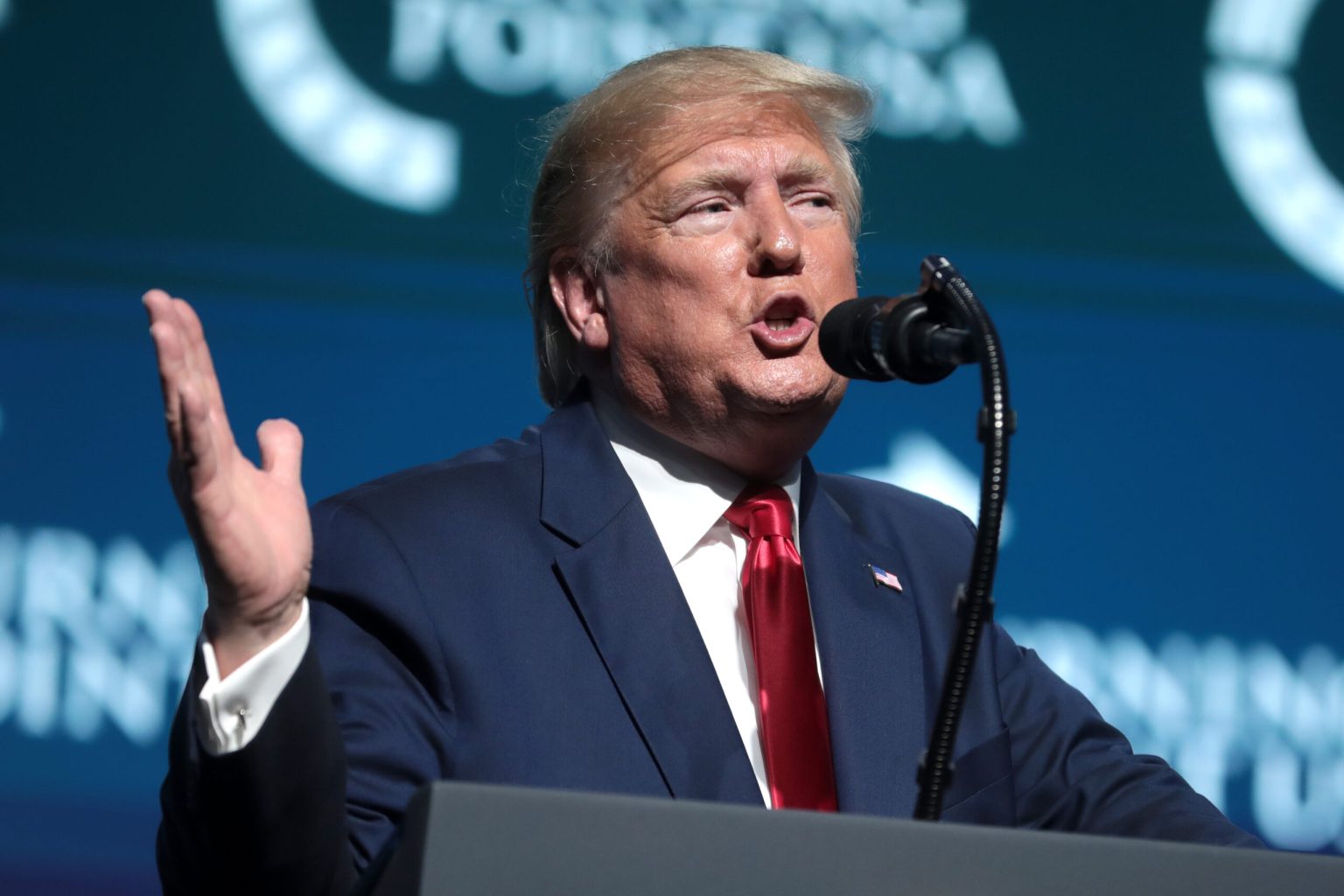 La Corte degli Impuniti