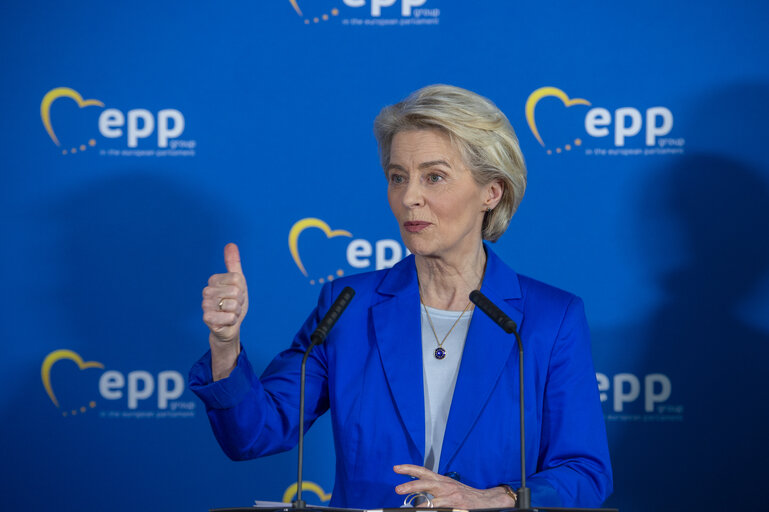 Panzer Von Der Leyen Ursula Von Der Leyen