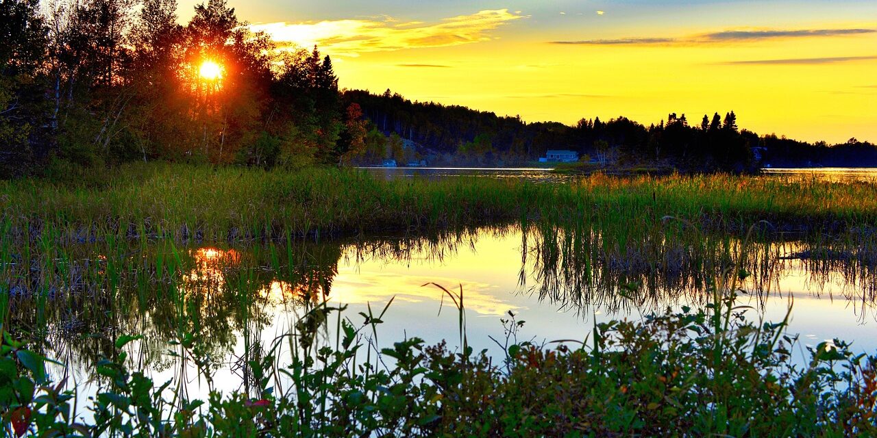 Sostenibilità senza consenso. L’Europa rischia.