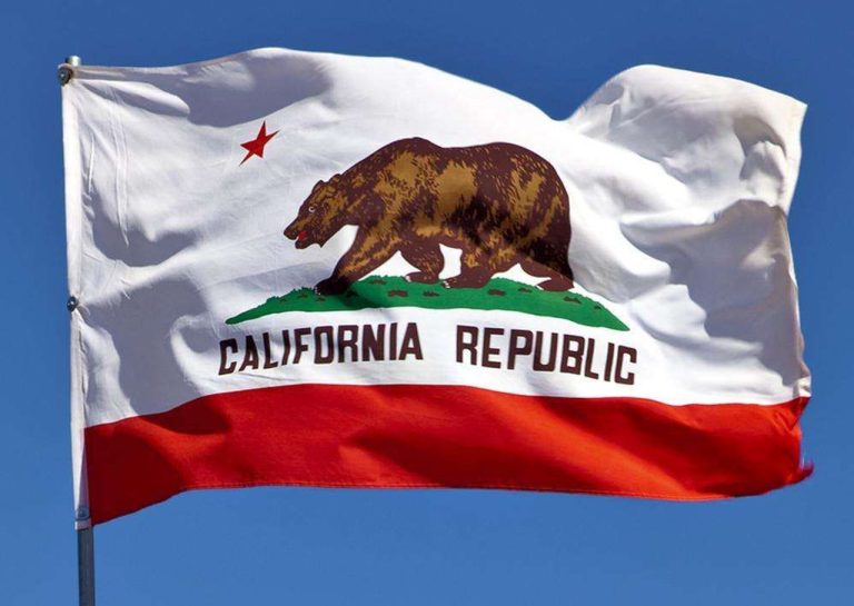 Referendum sul salario minimo in California