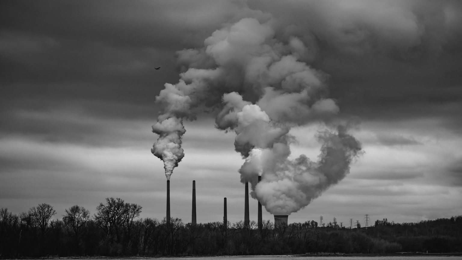 Verso una economia neutra per il clima