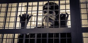 Il Governo in silenzio davanti alle tragedie delle carceri