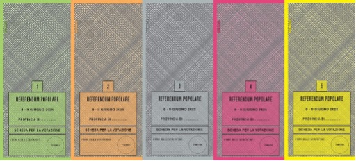 Dalla spiaggia ti spiego come si vota