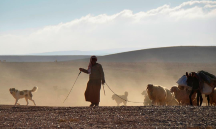 Giordania segreta: Wadi Musa