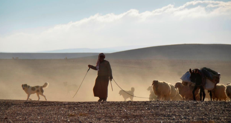 Giordania segreta: Wadi Musa