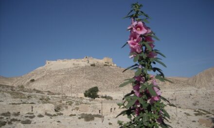 Giordania segreta: grotte abitate o abbandonate