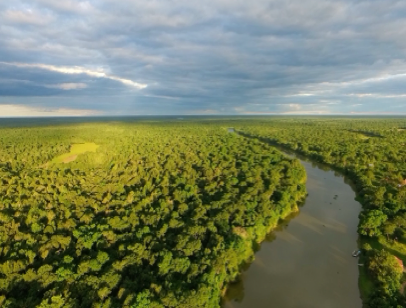 Le foreste del Chaco