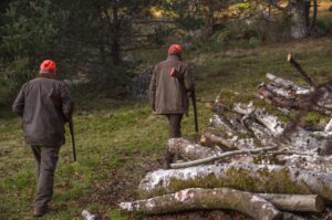 Sulla caccia, tutti mirano. Quasi nessuno centra il bersaglio Caccia