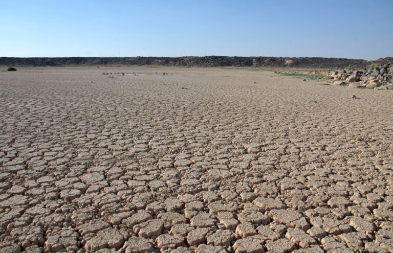 Giordania segreta: Azraq e le fortezze del Limes Arabicus deserto giordano