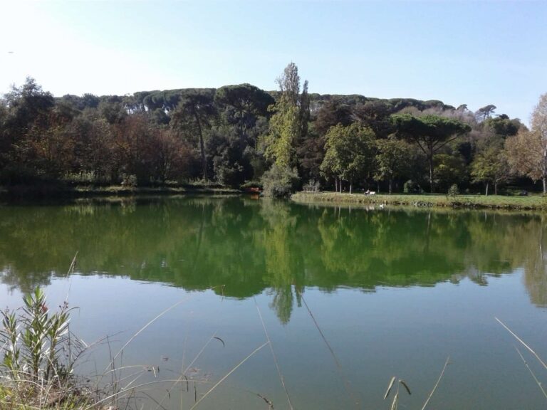 Suoni di campagna